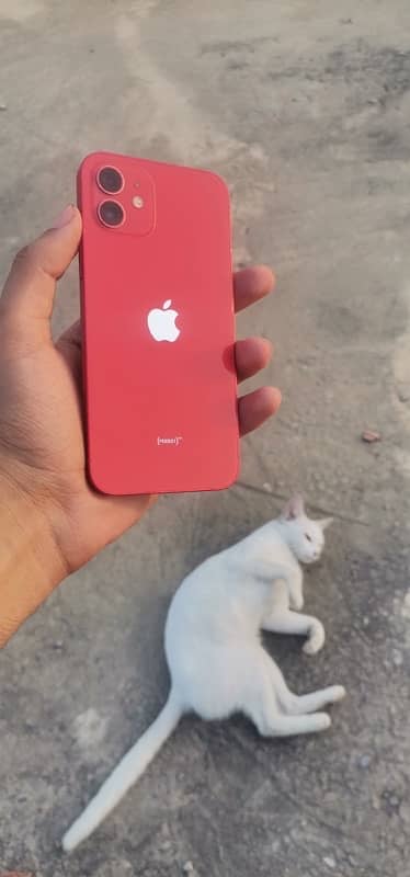 iPhone 12 waterpack cash need final price 63,500 8