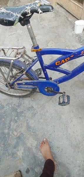 bicycle for sale# 03359133310 4