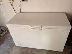 D Freezer Single Door