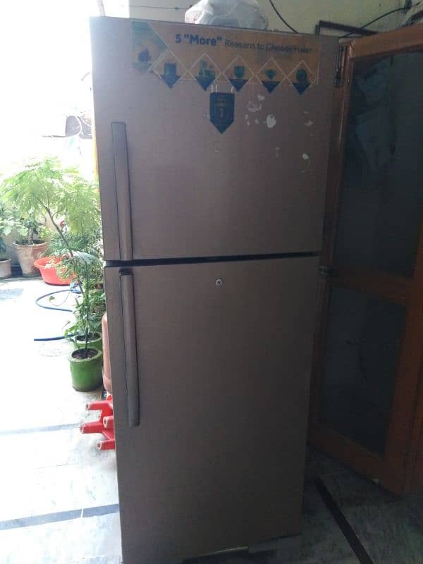 Haier full size Refrigerator 1