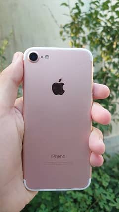 Iphone 7 PTA approved 128gb golden colour