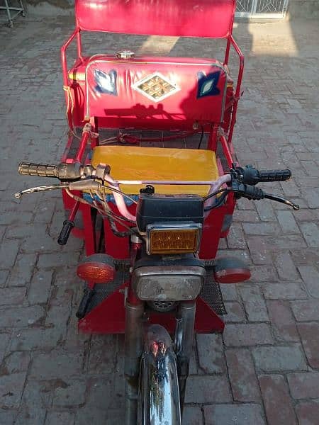 3 Wheel Bike for handicap person 2