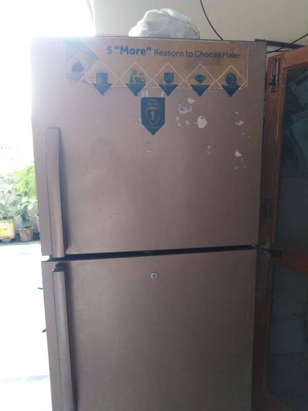 Haier full size Refrigerator 9