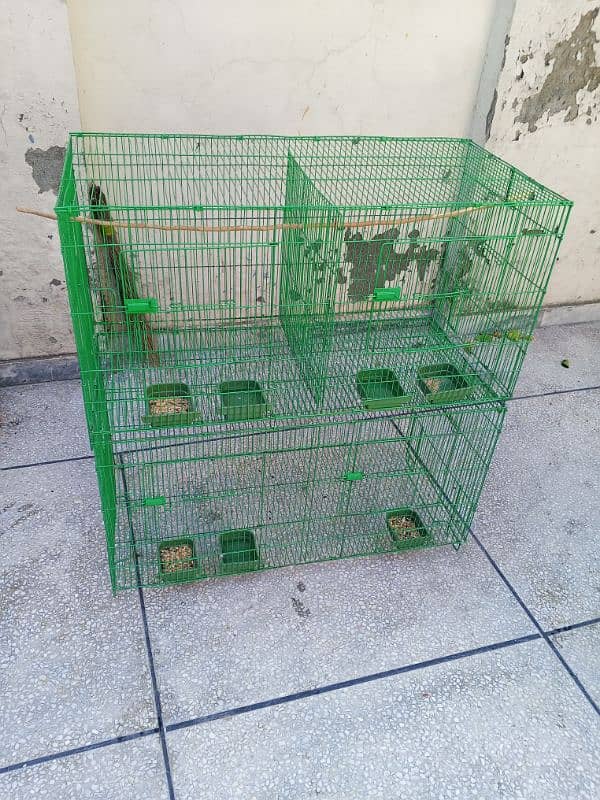 birds cage 2