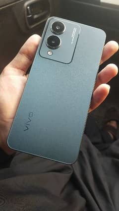 vivo