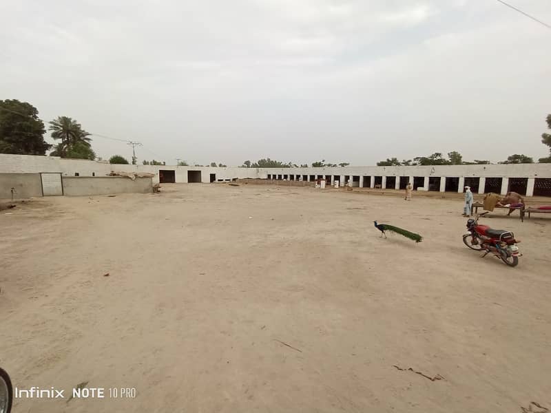 Setup For sale/Cattle farm for sale/Urgent sale cattle farm 9