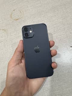 iPhone 12 Mini 0