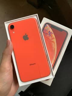 iphone xr with full box and back glass 0