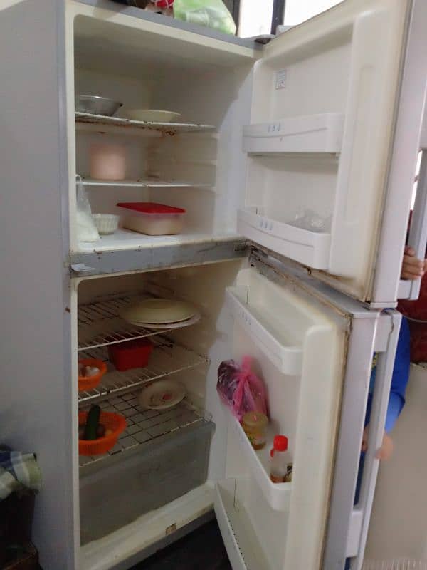 Haier full size fridge 0