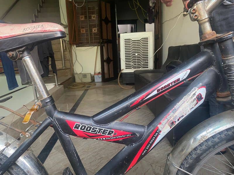 Rooster cycle in Genuine condition 2