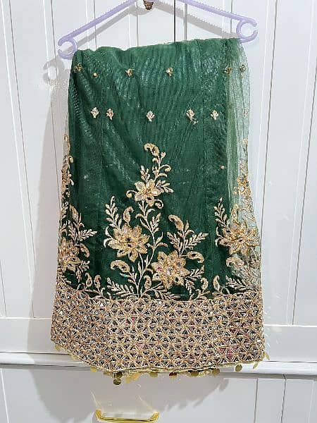 Green net lehenga with chiffon choli for sale 2