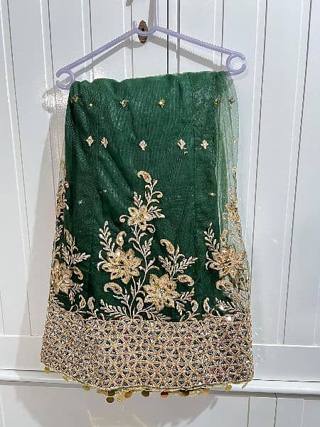 Green net lehenga with chiffon choli for sale 4