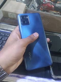 vivo