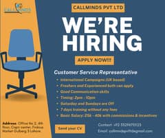 Call Center Agent (Jobs) 0