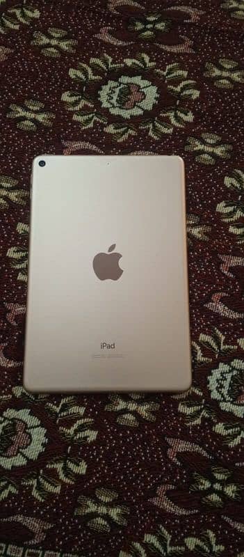 IPAD MINI 5 1