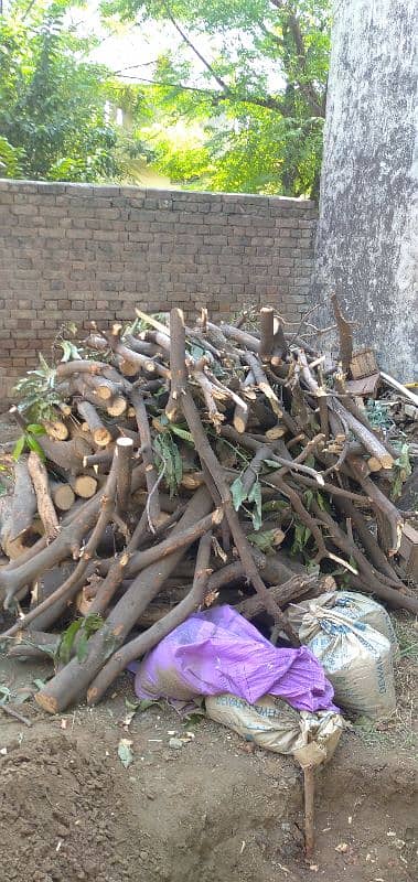 Fire Wood for Sale 0