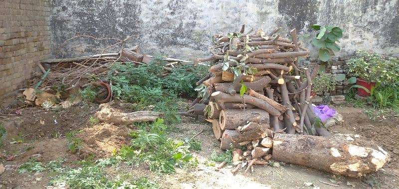 Fire Wood for Sale 7