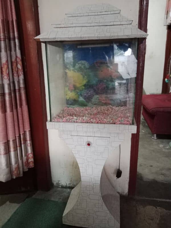 fish aquarium 1