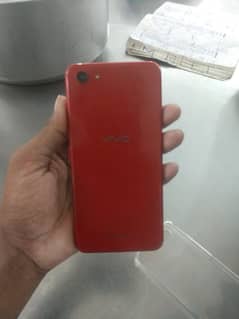 vivo