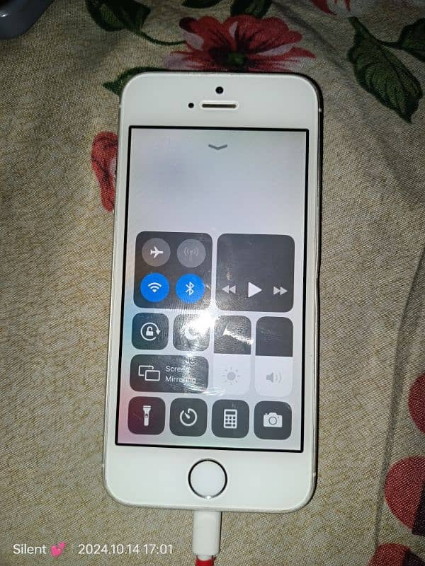 iPhone 5s Lush Condition 2