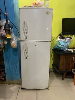 LG White Electrocool Fridge