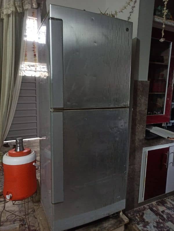 PEL Refrigerator | Jumbo Sized 1