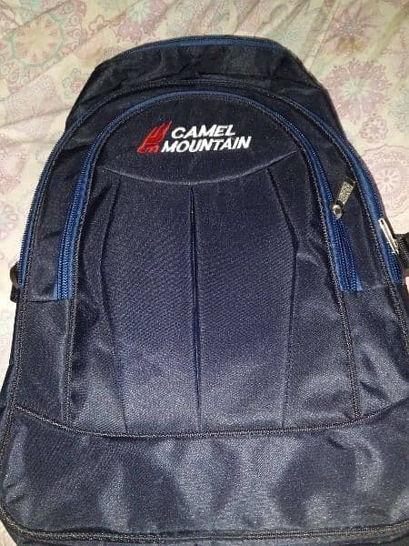 Camel Mountain School Bag 2