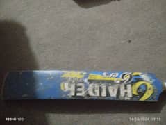 Haider sports bat