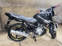 YAMAHA YBR 125