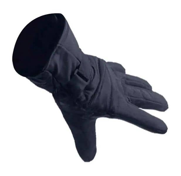 imported gloves 2