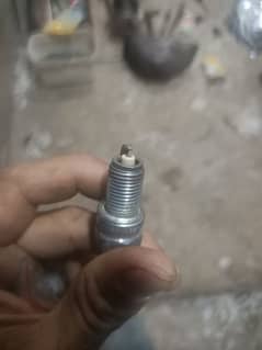 genuine NGK iridium spark plugs