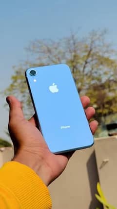 Iphone XR 0