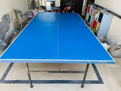 table tennis table