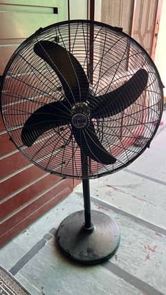 new asia fan for sale