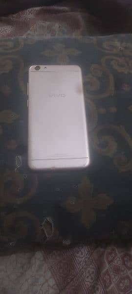 vivo 464 1