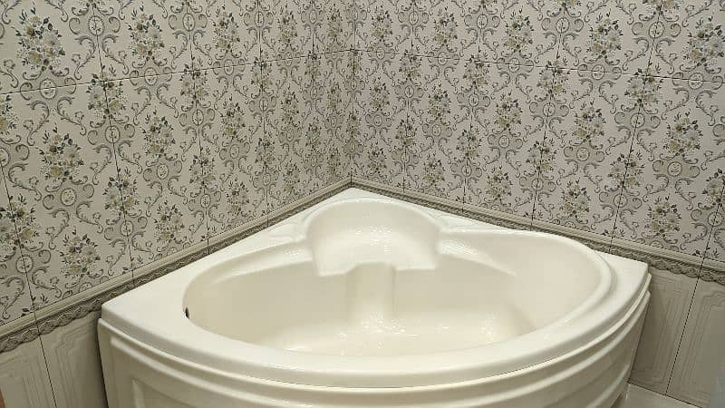 jacuzzi style bathtub 1