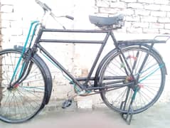 Bycycle-Sohrab-for-sale-in