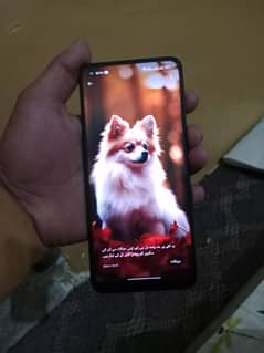 oppo f 19 pri . . 10/9 condition 0