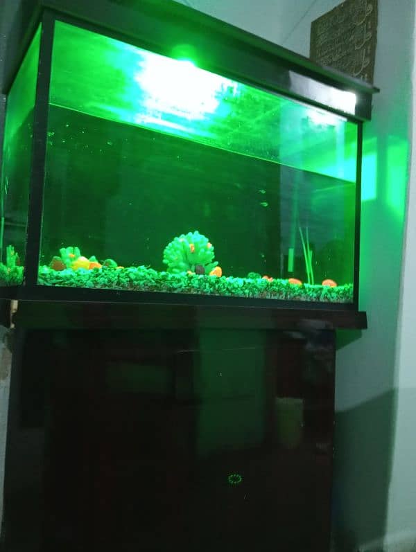 Aquarium for sale 3X1.5 ft 1