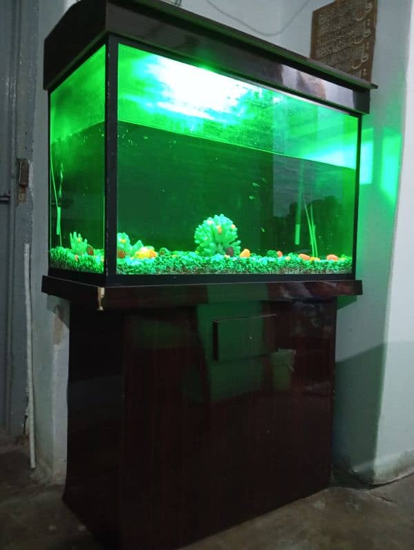 Aquarium for sale 3X1.5 ft 2