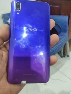 Vivo