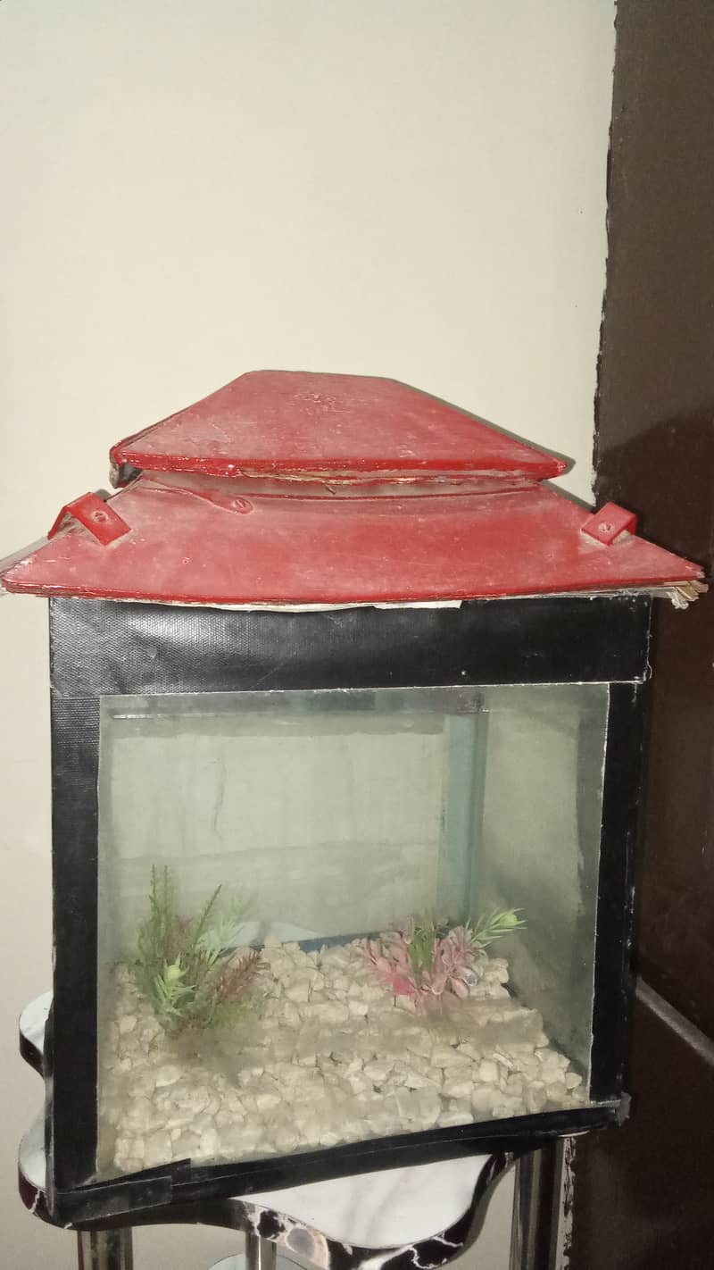 Fish Aquarium 1