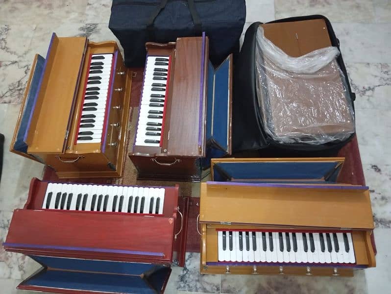 Harmonium|Indian NS Anand Reeds|Tabla|Dholak 0