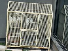 heavy Colony Cage for sale