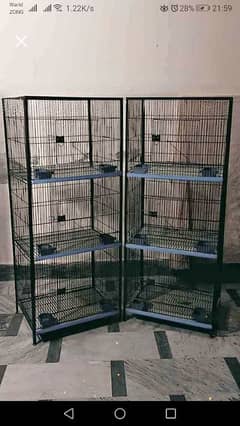 Bird cage available