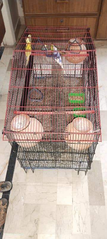 birds only cage KY price alag hn 2