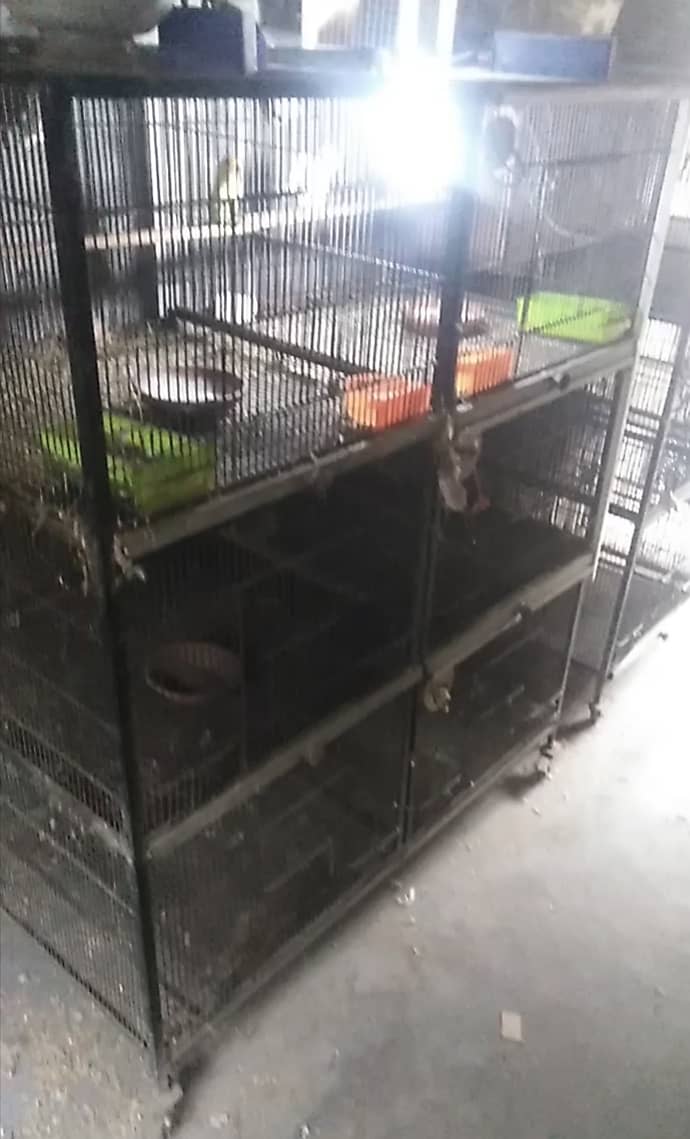 Iran cage for sale in used 1