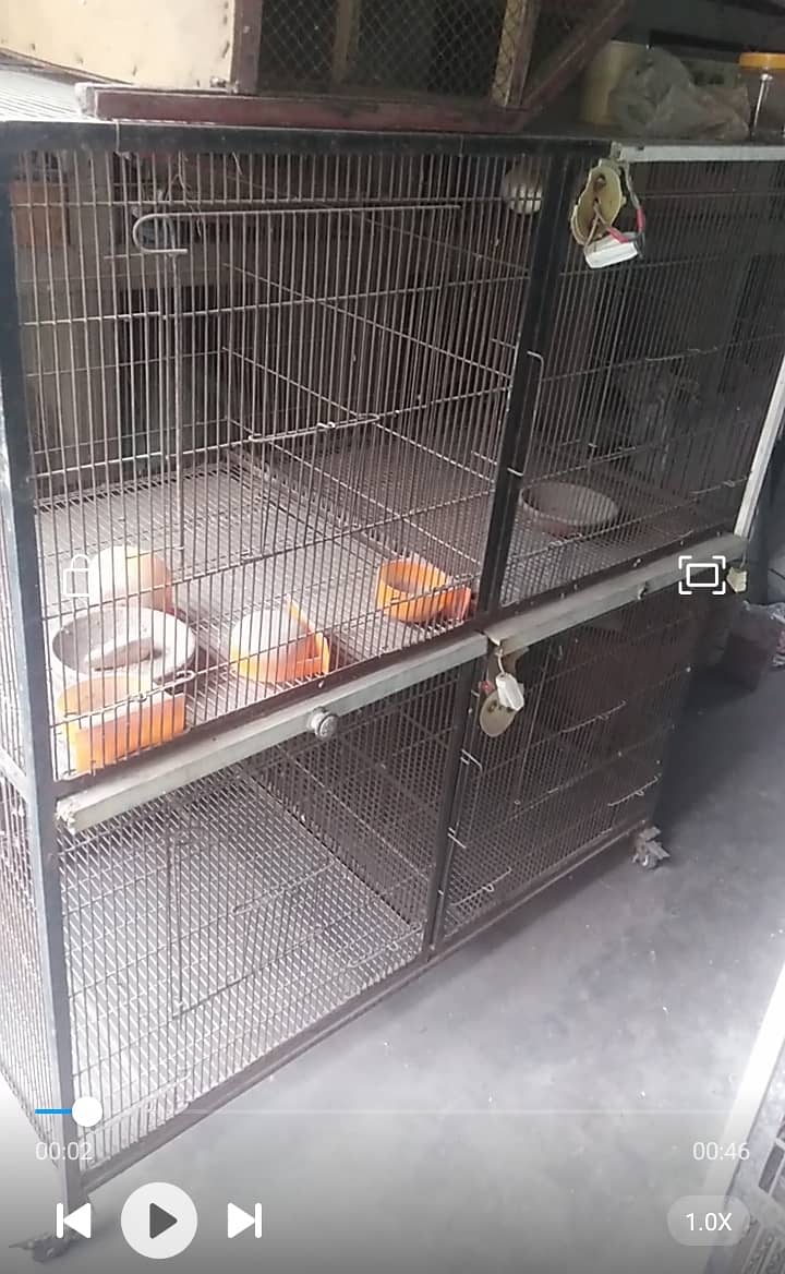 Iran cage for sale in used 2