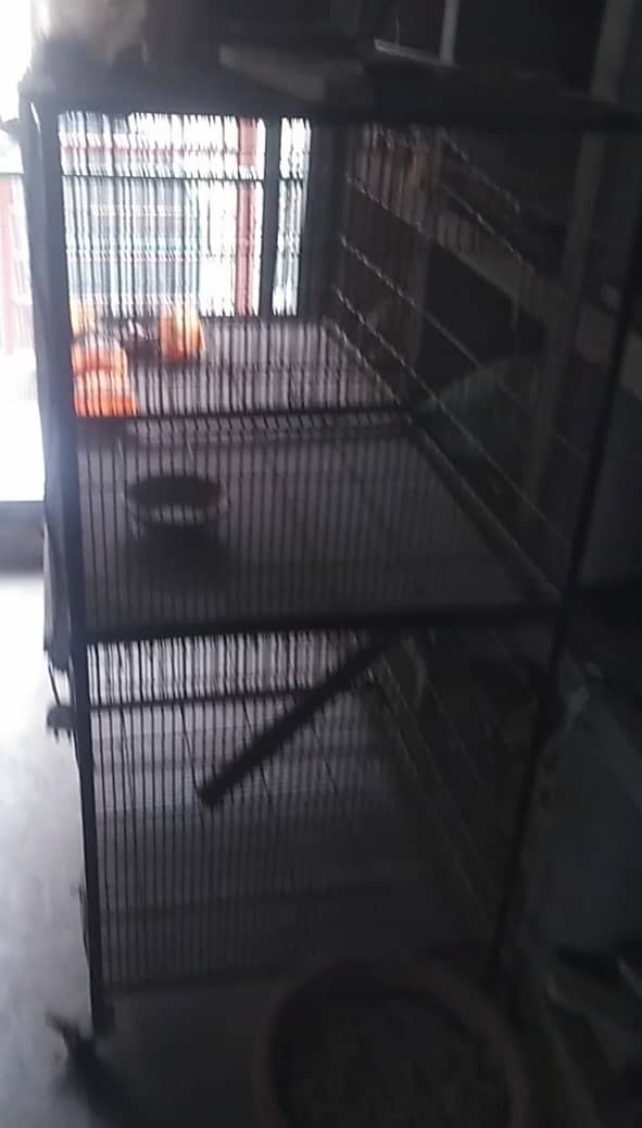 Iran cage for sale in used 3