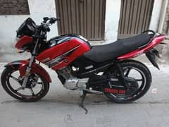 Yamaha YBR 125 2015 (0302_5328032) 0